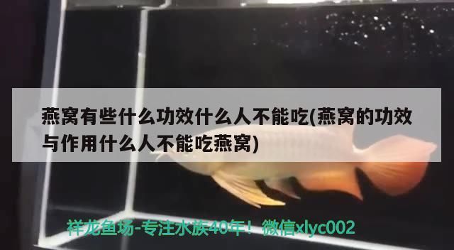 詳細(xì)閱讀:心滿意足喝茶賞魚 心滿意足喝茶賞魚
