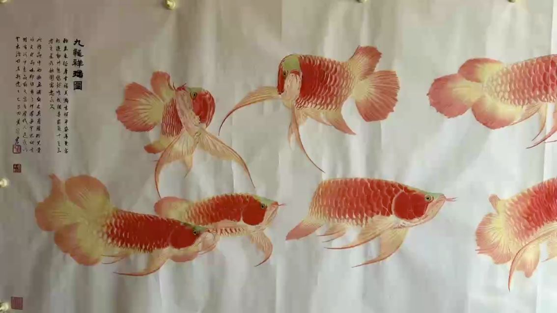 龍魚 九龍祥瑞圖 龍魚論壇 九龍祥瑞圖 九龍祥瑞圖 龍魚論壇