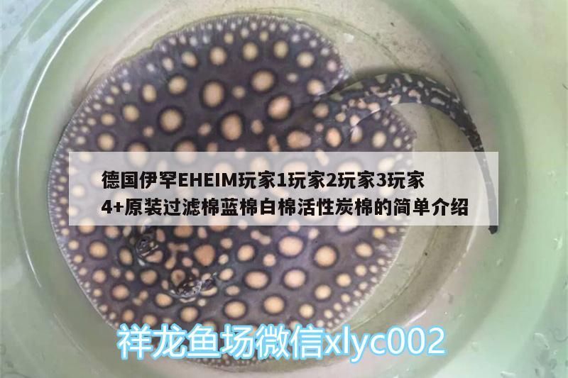 德國伊罕EHEIM玩家1玩家2玩家3玩家4+原裝過濾棉藍棉白棉活性炭棉的簡單介紹