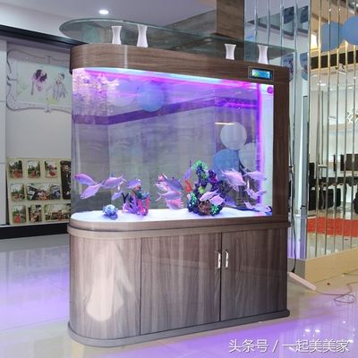 銀色的觀賞魚叫什么（銀色的觀賞魚叫什么名字） 銀色的觀賞魚叫什么（銀色的觀賞魚叫什么名字） 九鼎魚缸