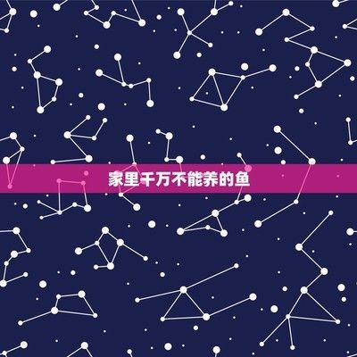 養(yǎng)金龍魚10大忌：養(yǎng)殖金龍魚的十大禁忌