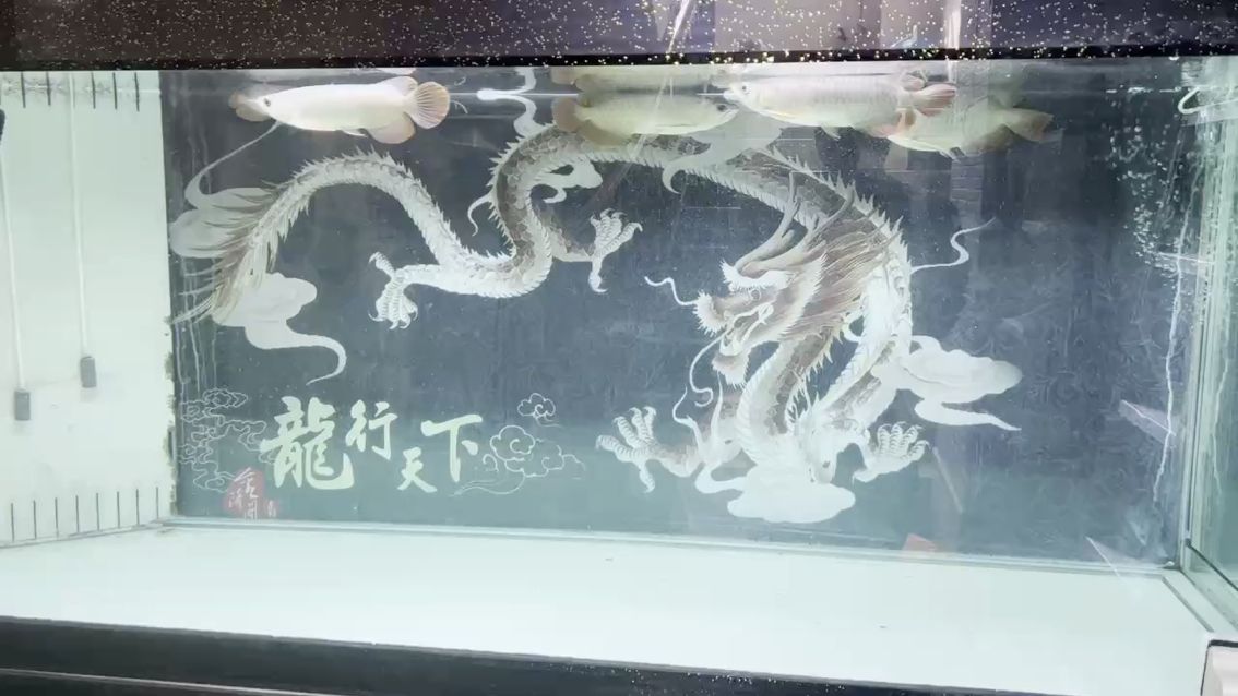 二月初一。迎接明天的龍?zhí)ь^喲。