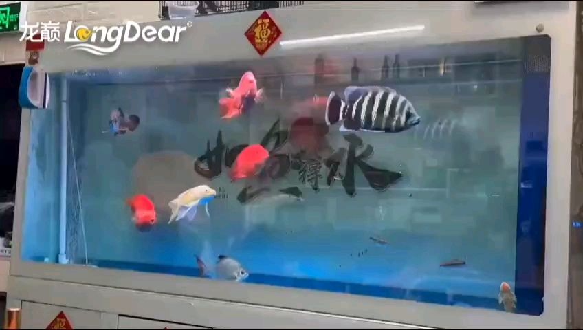 轉發717