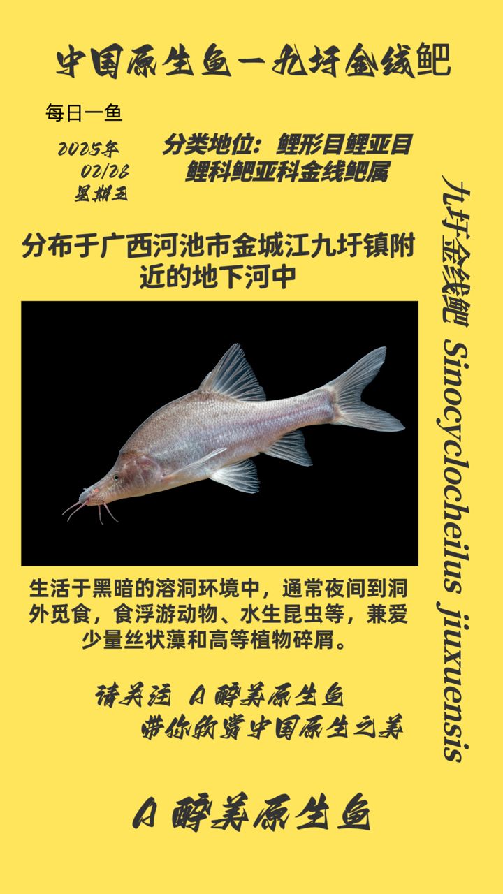 魚缸過濾器選購指南:自制魚缸過濾器魚缸上置過濾器對于養魚愛好者的必備知識 九玗金線鲃 龍魚論壇 九玗金線鲃 九玗金線鲃 龍魚論壇