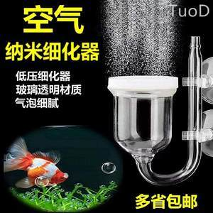 泗水紅龍為什么不紅（泗水紅龍為什么不紅了）