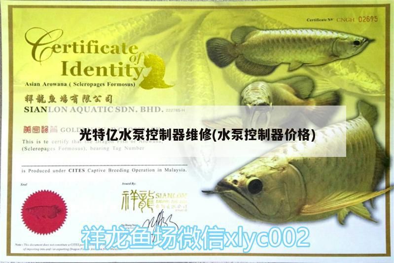 光特億水泵控制器維修(水泵控制器價格)