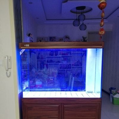 yee牌魚缸和森森怎么樣：yee牌魚缸和森森魚缸的比較 yee牌魚缸和森森怎么樣：yee牌魚缸和森森魚缸的比較 yee 第3張