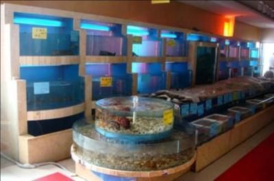 水族館怎么經營：水族館的經營策略
