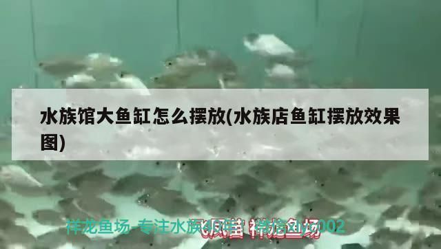 水族館魚缸擺放：水族館魚缸擺放對(duì)于觀賞者的體驗(yàn)至關(guān)重要不僅影響觀賞效果