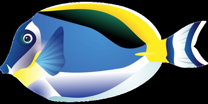水族館魚缸擺放：水族館魚缸擺放對(duì)于觀賞者的體驗(yàn)至關(guān)重要不僅影響觀賞效果