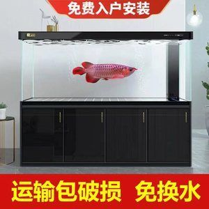 yee魚缸安裝視頻：yee魚缸安裝基礎教程
