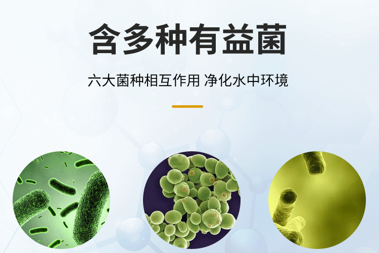 znb硝化細(xì)菌（znb硝化細(xì)菌使用心得） znb硝化細(xì)菌（znb硝化細(xì)菌使用心得） 九鼎魚缸 第1張