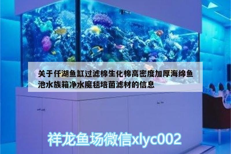 關于仟湖魚缸過濾棉生化棉高密度加厚海綿魚池水族箱凈水魔毯培菌濾材的信息