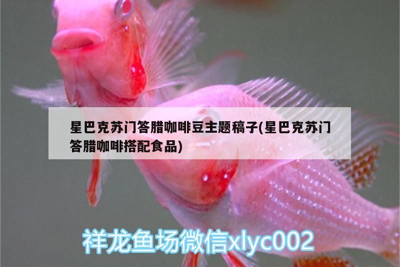 星巴克蘇門答臘咖啡豆主題稿子(星巴克蘇門答臘咖啡搭配食品) 星巴克蘇門答臘咖啡豆主題稿子(星巴克蘇門答臘咖啡搭配食品) 馬來西亞咖啡