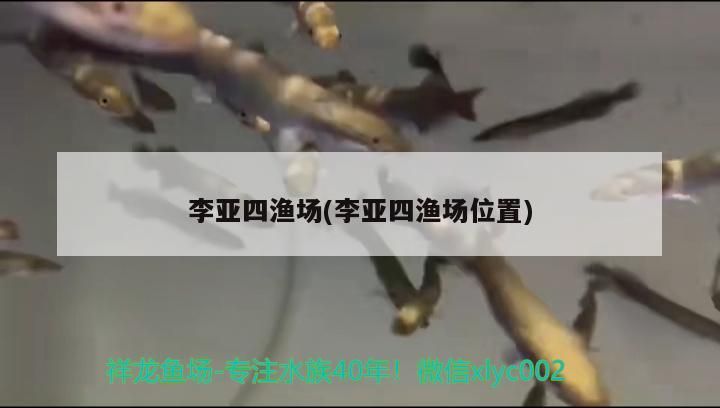 李亞四漁場(李亞四漁場位置) 李亞四漁場(李亞四漁場位置) 李亞四龍魚