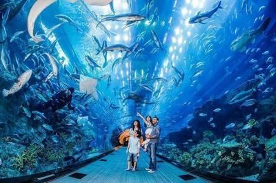 亞特蘭蒂斯水世界和水族館哪個好玩（亞特蘭蒂斯水世界和失落的空間水族館各有特點）