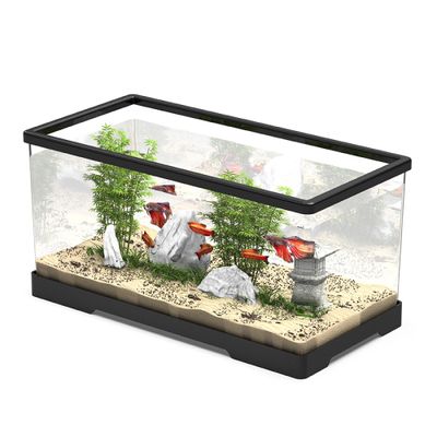 天津市靜海區龍年水族用品經營館（天津市靜海區龍年水族用品經營館地址）