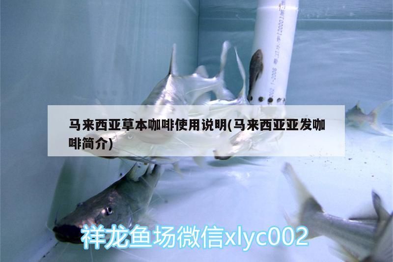 馬來西亞草本咖啡使用說明(馬來西亞亞發咖啡簡介)