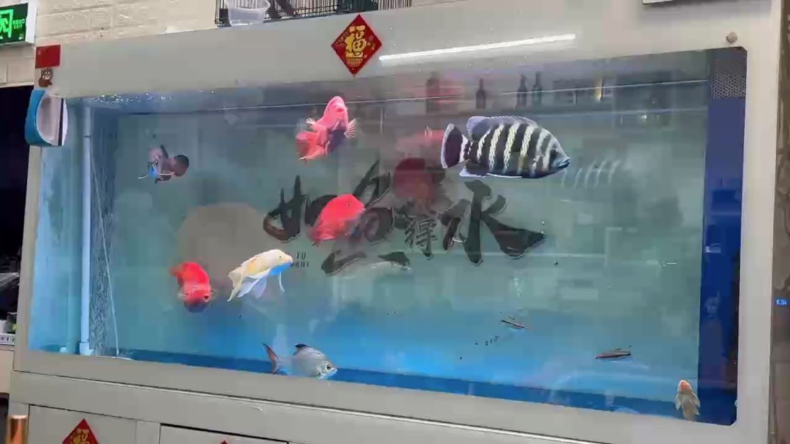 體型、發色感覺越來越好了