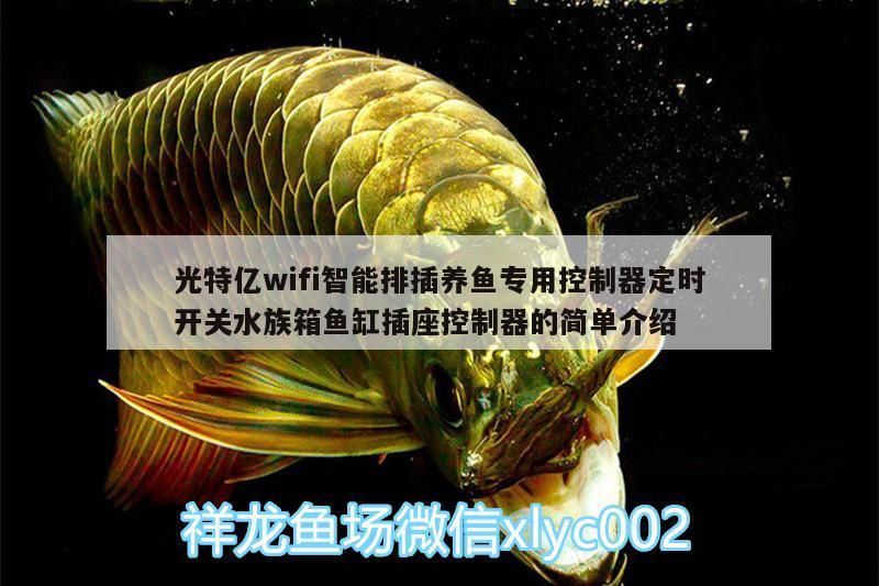光特億wifi智能排插養魚專用控制器定時開關水族箱魚缸插座控制器的簡單介紹