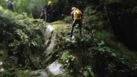 豬鼻龜交流群：豬鼻龜交流群可以為豬鼻龜愛好者可以為豬鼻龜愛好者提供一個交流 豬鼻龜交流群：豬鼻龜交流群可以為豬鼻龜愛好者可以為豬鼻龜愛好者提供一個交流 豬鼻龜百科 第5張