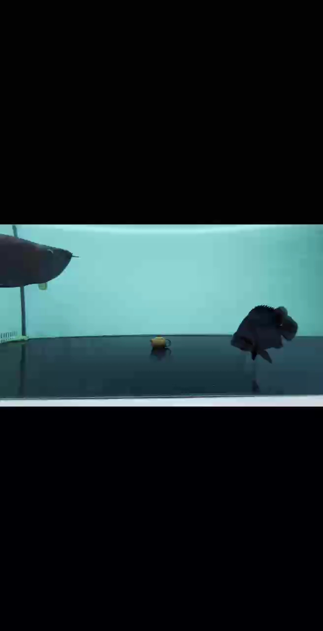 有同城的魚友嗎？