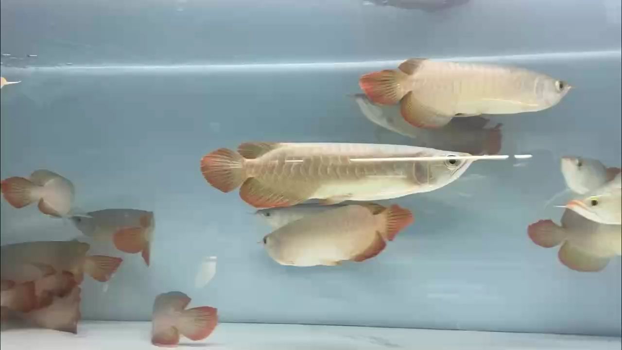 多多關注