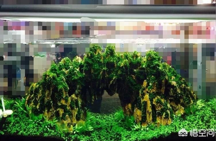 光特億魚缸燈LED防水照明燈架水草缸燈水族箱增艷led節能燈支架燈