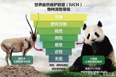豬鼻龜保護等級標準：豬鼻龜保護等級劃分標準