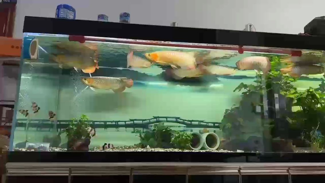 一幅美畫