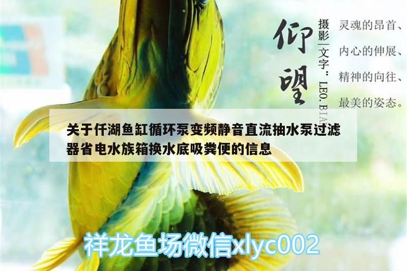 關(guān)于仟湖魚缸循環(huán)泵變頻靜音直流抽水泵過濾器省電水族箱換水底吸糞便的信息 關(guān)于仟湖魚缸循環(huán)泵變頻靜音直流抽水泵過濾器省電水族箱換水底吸糞便的信息 仟湖