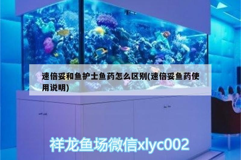 速倍妥和魚護士魚藥怎么區(qū)別(速倍妥魚藥使用說明) 速倍妥和魚護士魚藥怎么區(qū)別(速倍妥魚藥使用說明) 速倍妥
