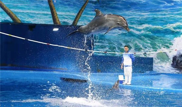 水族館專業(yè)委員會（中國自然科學博物院學會水族館專業(yè)委員會）