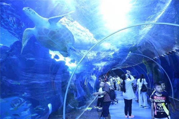 水族館專業委員會（中國自然科學博物院學會水族館專業委員會）