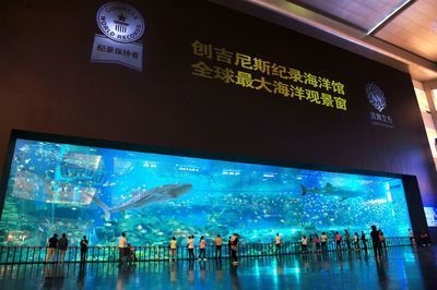 水族館要辦什么執(zhí)照（開設(shè)水族館所需的主要執(zhí)照和證件）