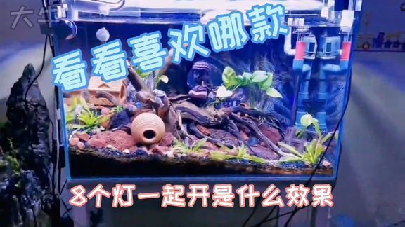老魚匠水泵控制器進水了怎么辦（老魚匠水泵控制器使用說明書）