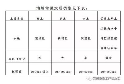 魚龍混雜惹事端，揭秘十二生肖中的是非之星