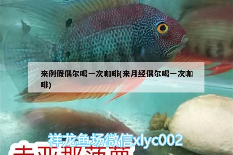 來例假偶爾喝一次咖啡(來月經偶爾喝一次咖啡)