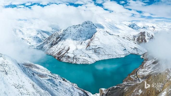 江門可麗愛魚缸專賣店，打造水族愛好者的夢幻家園