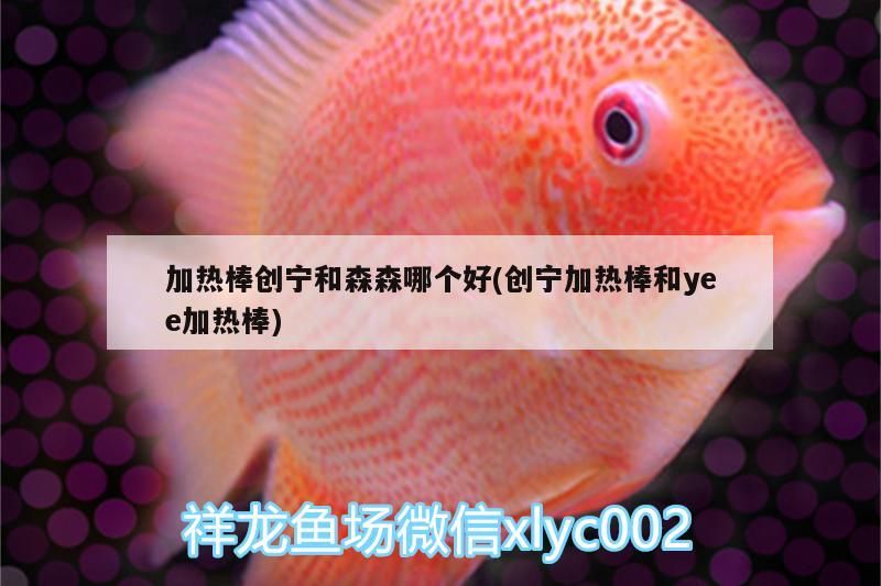 加熱棒創寧和森森哪個好(創寧加熱棒和yee加熱棒)