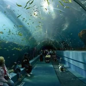 水族館是指：關于水族館的介紹