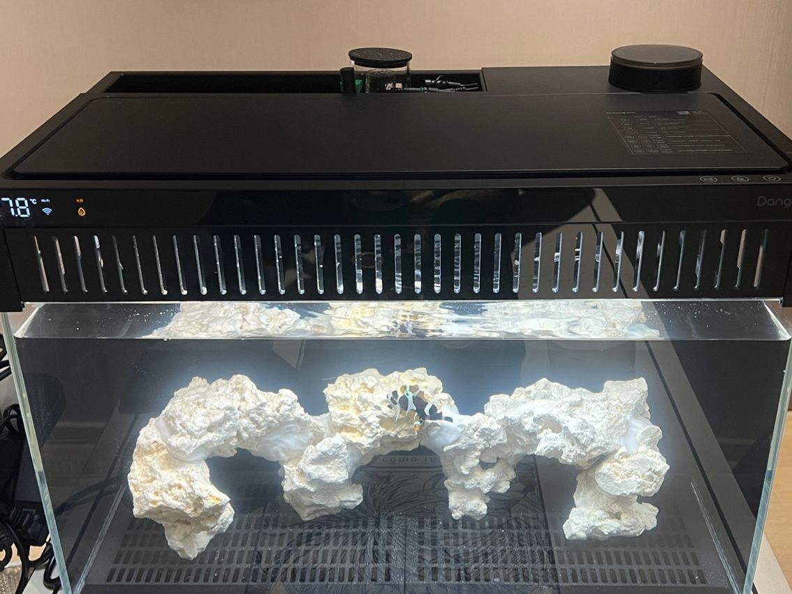 新手挑戰海缸第十五天。 終于把魚放進去了 新手挑戰海缸第十五天。 終于把魚放進去了 龍魚論壇 第1張