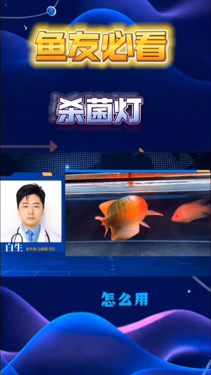 龍魚缸需要殺菌燈嗎