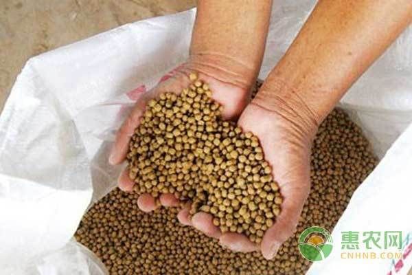 魚龍混雜打一個數(shù)字，解密數(shù)字背后的文化密碼