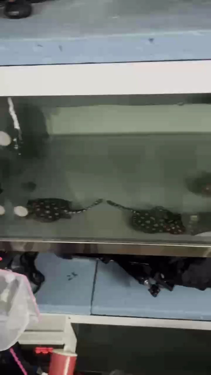 玩的就是狀態，追求極致的完美