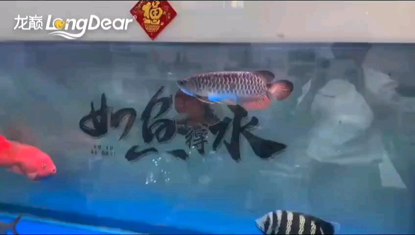 轉發(fā)713