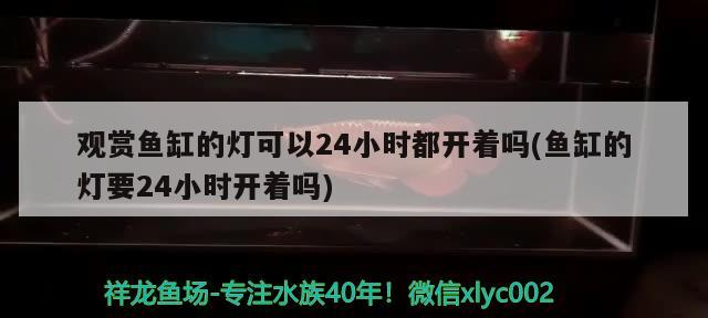 南充魚缸定做電話多少號 南充魚缸定做電話多少號 南充魚缸定做電話多少號 南充魚缸定做電話多少號 廣州孟吉爾 第2張