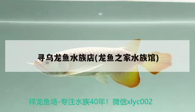 尋烏龍魚水族店(龍魚之家水族館)