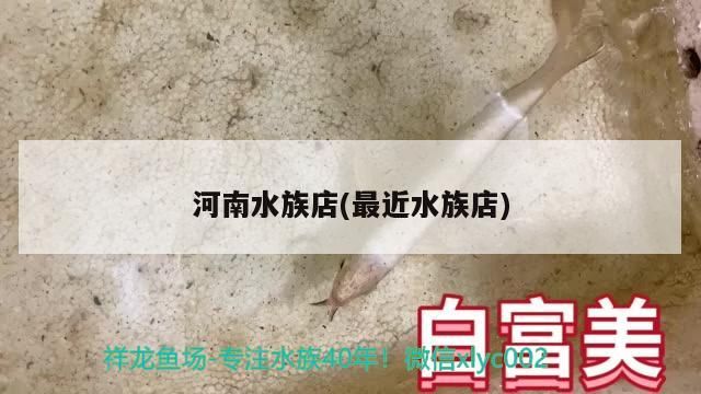 河南水族店(最近水族店) 河南水族店(最近水族店) 觀賞魚百科 第2張