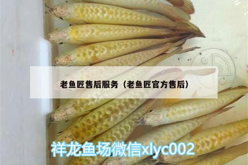 老魚匠售后服務（老魚匠官方售后）